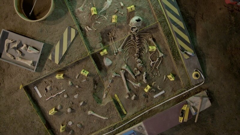 1856 gefundenes Teil-Skelett eines Neandertalers. – Bild: ZDF und Yonathan Weitzman./​Yonathan Weitzman