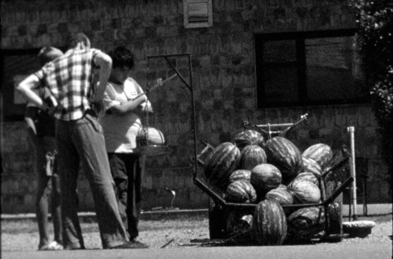 Melone statt Frühstück. Das ist billiger, so Milan (Milan Josifov, li.). – Bild: MDR/hechtfilm/Ralf Jakubski Melone statt Frühstück. Das ist billiger, so Milan (Milan Josifov, li.). – Bild: MDR/hechtfilm/Ralf Jakubski