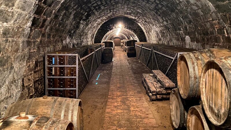 In den Katakomben der Winzer lagern die wertvollen Akzo-Weine mit einer Lebenserwartung von annähernd einhundert Jahren. – Bild: ZDF und Martin Papirowski./​Martin Papirowski