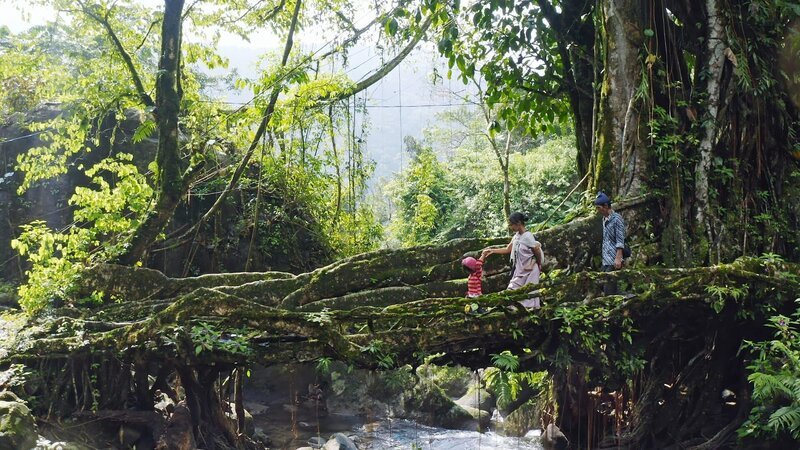 Eine Familie aus der Volksgruppe der Khasi überquert in Meghalaya im Nordosten Indiens eine lebende Brücke, die aus den Wurzeln eines Feigenbaums angelegt wurde. – Bild: ZDF und Leonardo Mercon.