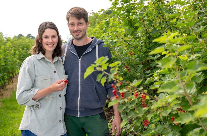 Bei Inga Flachmeier auf dem Bergs Hof in Herford spielt Beerenobst die Hauptrolle. Erdbeeren, Stachelbeeren, Blaubeeren und neue Sorten wie Aronia und Taybeere werden auf dem Hof angebaut. Die 32-Jährige Inga, Mutter von zwei kleinen Kindern, ist Grundschullehrerin und im Augenblick in Elternzeit. Gemeinsam mit ihrem Mann Thomas hegt und pflegt sie ihre Beerenkulturen. – Bild: WDR/​Melanie Grande