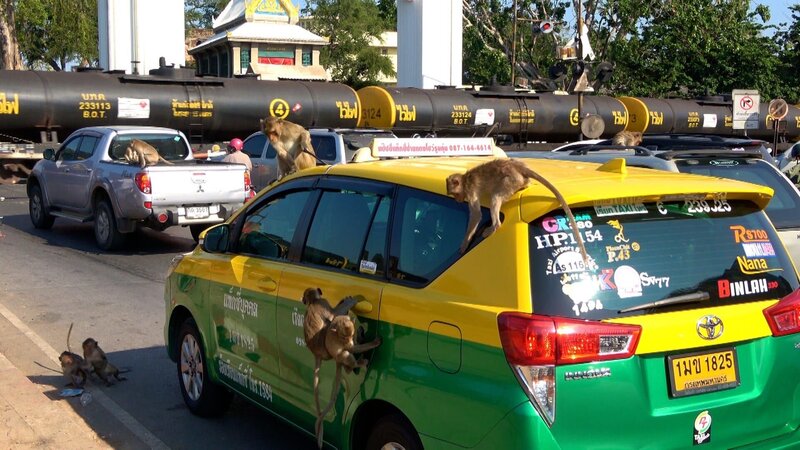 Thailand - Unterwegs im Königreich des Lächelns – Bild: ZDF /​ Ampersand