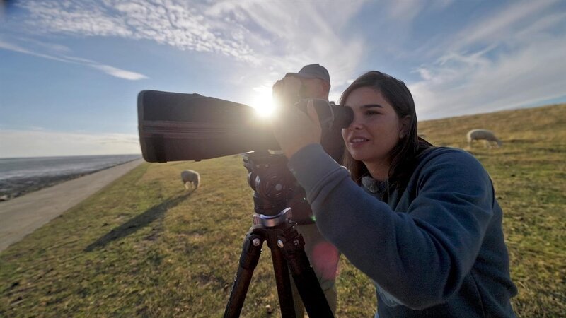 Anna und Froschforscher André (André Jankowski) beim Vogel gucken. Am Wattenmeer geht das besonders gut, denn hier schlagen sich Millionen Zugvögel den Bauch voll. – Bild: BR/​TEXT+BILD Medienproduktion GmbH & Co. KG/​Ben Wolter