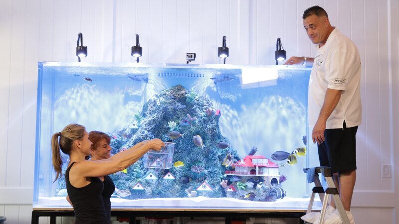 Wayde and the girls put the fish in the tank. – Bild: Animal Planet /​ 35918_ep810_017 /​ Discovery Communications