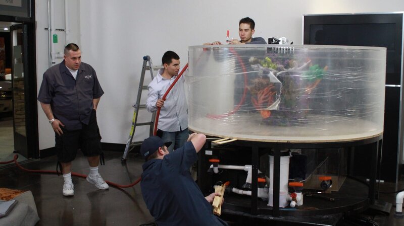 Tank being installed. – Bild: Chris Cardamone /​ Animal Planet /​ Discovery Communications