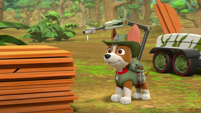 Tracker – Bild: ViacomCBS