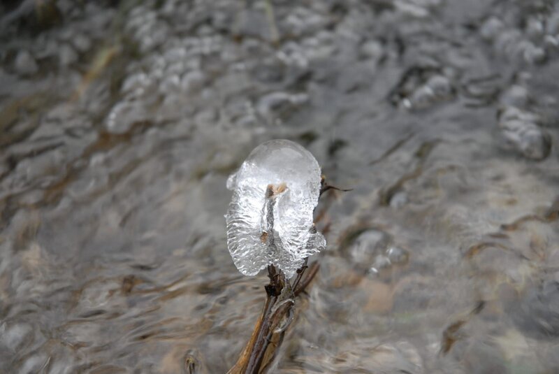 Hunderte von Wasserläufen und Bächen durchziehen den Eibenwald. Wenn es im Winter lange genug kalt ist, erstarrt der Wald vielerorts in ebenso bizarrer wie vergänglicher Eiskunst. – Bild: BR/​Kai Schubert