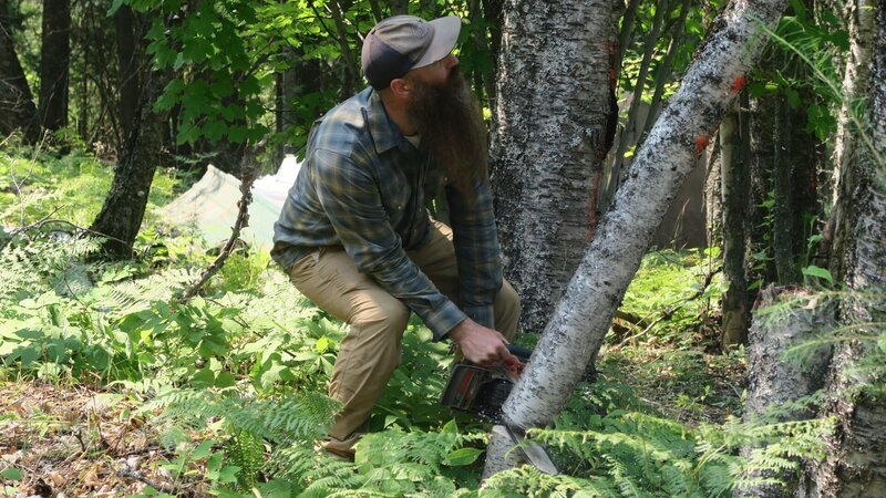 Matt sawing down a tree. – Bild: Discovery Channel /​ Photobank