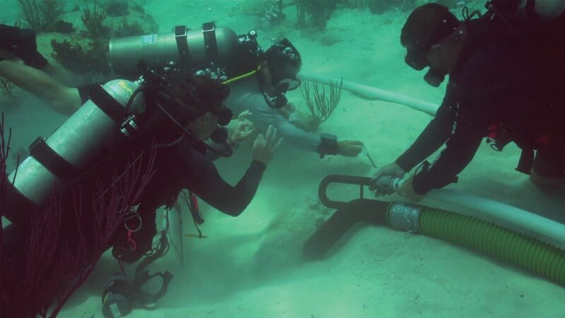 – Bild: Spiegel Geschichte – Bild: Spiegel Geschichte