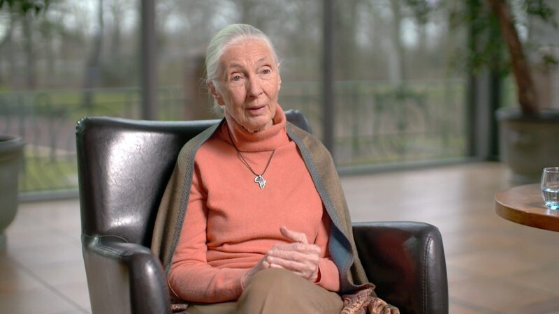 Die 86-jährige Verhaltensforscherin und Ikone des Artenschutzes Jane Goodall hat ihr gesamtes Leben dem Studium und Schutz von Tieren gewidmet. – Bild: Curiosity Channel Die 86-jährige Verhaltensforscherin und Ikone des Artenschutzes Jane Goodall hat ihr gesamtes Leben dem Studium und Schutz von Tieren gewidmet. – Bild: Curiosity Channel