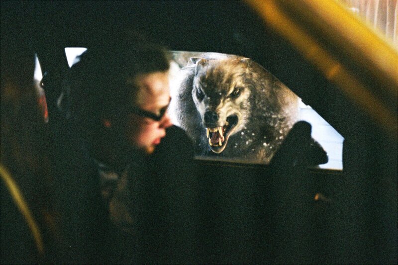 Ginger Snaps II - Entfesselt – Bild: 3 L