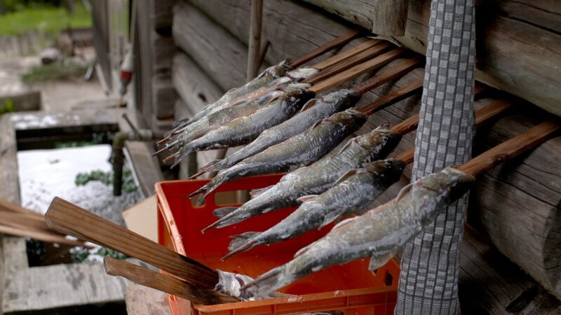 Das Leben am Grundlsee – Bild: ORF/​Pammer Film