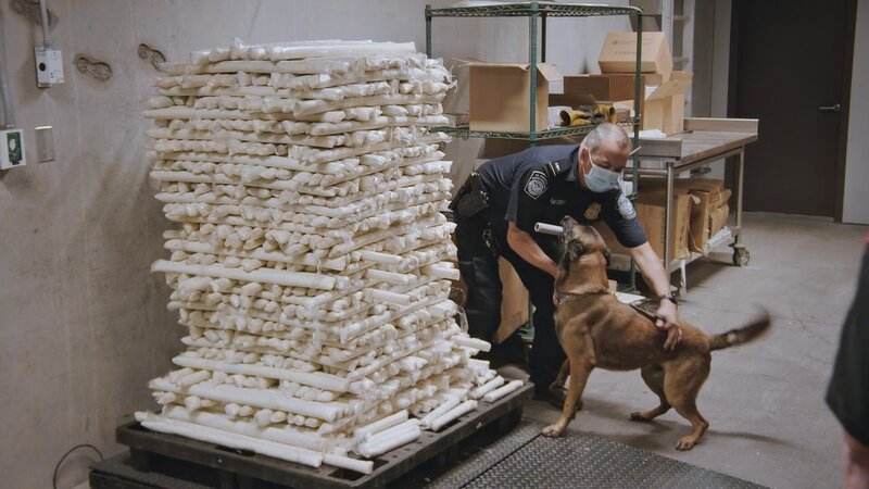 Officer rewards dog for finding over a million dollars worth of drugs. (National Geographic) – Bild: 2021 NGC Network US, LLC. All rights reserved. Lizenzbild frei