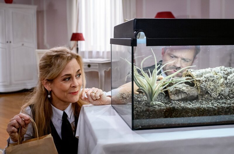 Als Erik (Sven Waasner, hinten r. mit Tanja Lanäus, l.) sich um das Terrarium kümmert, glaubt er, dass die Spinne ausgebrochen ist. – Bild: ARD/​WDR/​Christof Arnold