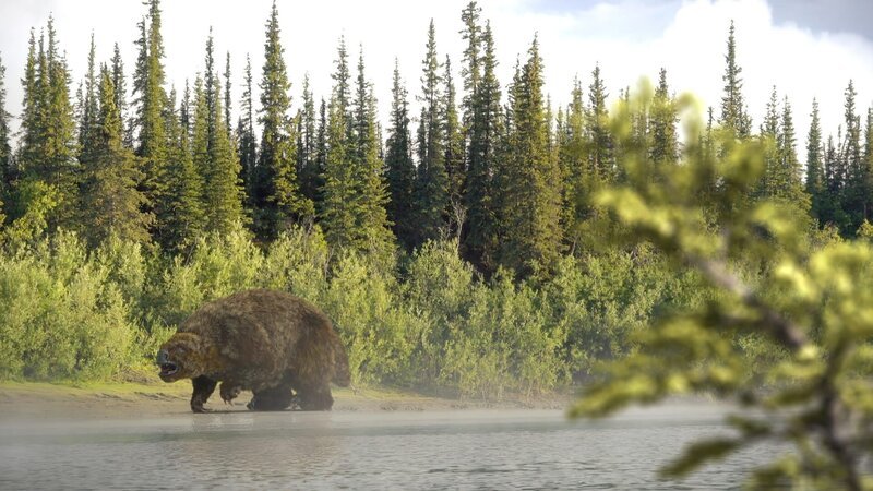 Riesenfaultiere waren gemächliche Pflanzenfresser und lebten bis zum Ende der Eiszeit vor 11 500 Jahren in ganz Nord- und Südamerika. – Bild: ZDF und Florian Breier. Riesenfaultiere waren gemächliche Pflanzenfresser und lebten bis zum Ende der Eiszeit vor 11 500 Jahren in ganz Nord- und Südamerika. – Bild: ZDF und Florian Breier.