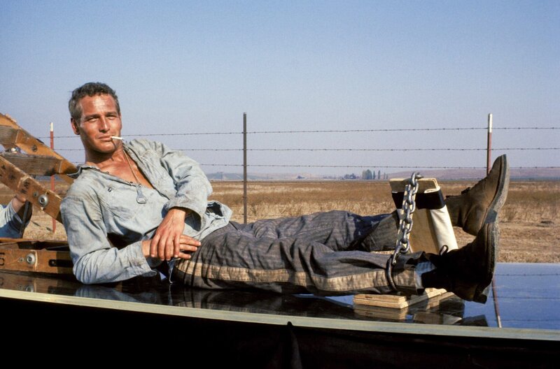 Der Unbeugsame – Bild: Jalem Productions /​ Nach nur wenigen Tagen gewinnt Luke Jackson (Paul Newman) den Respekt aller Häftlinge. Wegen seiner Kühnheit erhält er den Spitznamen ?Cool Hand Luke?.