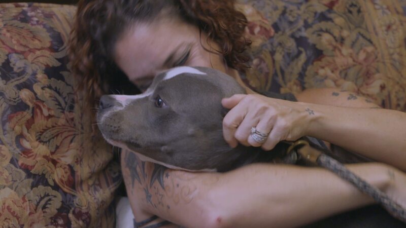 (LONG ISLAND ADOPTION) Meet and greet with potential adopters. – Bild: Discovery Communications