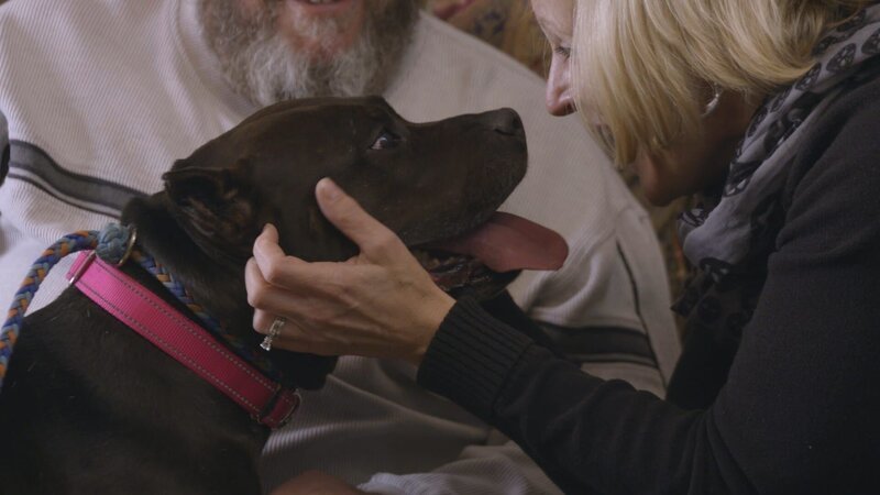 Potential adopter at meet and greet. – Bild: Discovery Communications