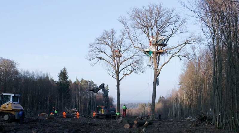 Letzter Tag der Rodung im Dannenröder Forst, 09.12.2020. – Bild: ZDF und WDR/stern film. Letzter Tag der Rodung im Dannenröder Forst, 09.12.2020. – Bild: ZDF und WDR/stern film.