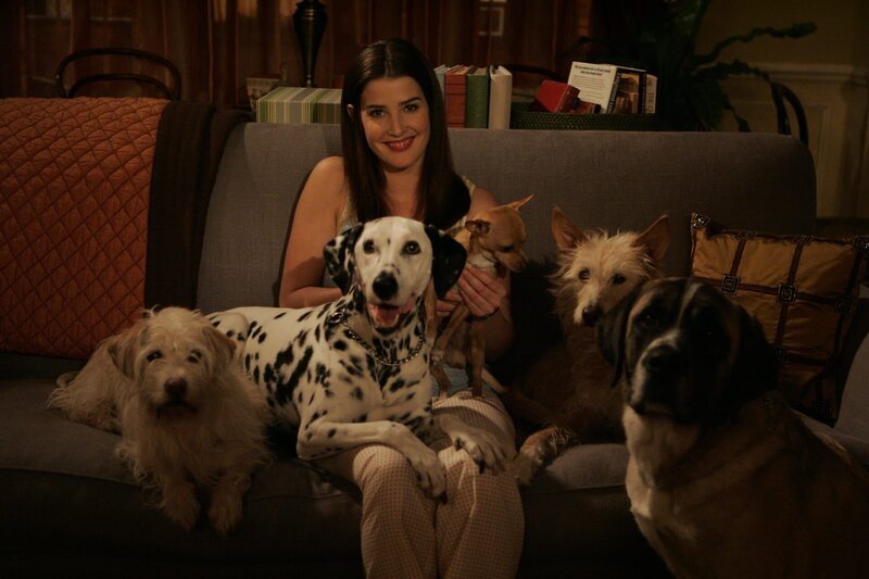 Robin (Cobie Smulders) kann ihre Gefühle für Ted nicht leugnen, dennoch muss sie schmerzhaft zur Kenntnis nehmen, dass er noch in einer Beziehung steckt … – Bild: CLIFF LIPSON /​ CBS /​ CBS /​ ©2006 CBS Corporation. All Rights Reserved.