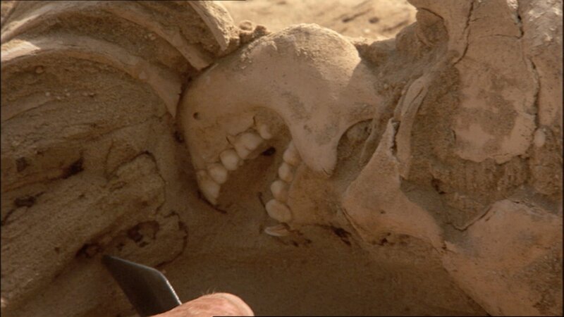 In der Stadt Amarna werden menschliche Überreste gefunden. Sie zeugen von einem höllischen Dasein auf Erden. – Bild: ZDF und © Wes Dorman./​© Wes Dorman