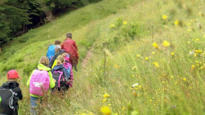 Schüler auf Exkursion im Naturpark Nagelfluhkette. – Bild: ORF Schüler auf Exkursion im Naturpark Nagelfluhkette. – Bild: ORF
