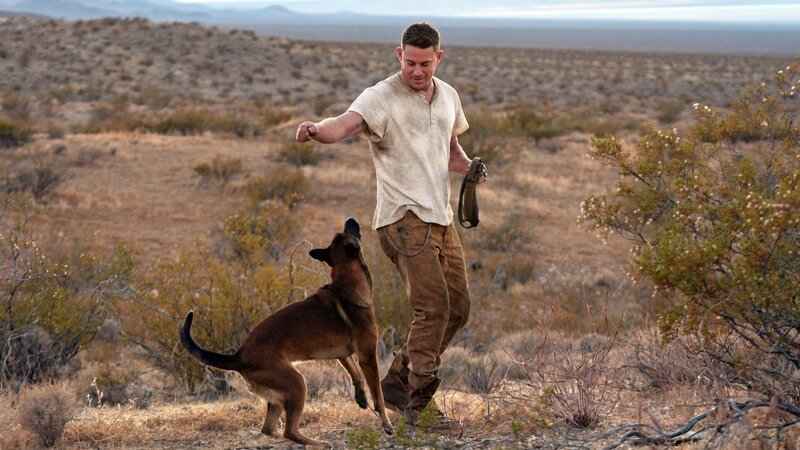 Der ehemalige Army Ranger Jackson Briggs (Channing Tatum) und Hündin Lulu begeben sich auf einen Roadtrip entlang der US-Pazifikküste. – Bild: 2022 Metro-Goldwyn-Mayer Pictures Inc. All Rights Reserved.
