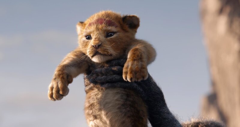 – Bild: PLURIMEDIA (The Walt Disney Company France / Walt Disney Studios Motion Pictures USA) – Bild: PLURIMEDIA (The Walt Disney Company France / Walt Disney Studios Motion Pictures USA)