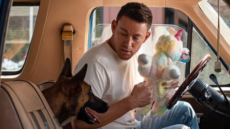 Ex-Army-Ranger (Jackson Biggs) und Malinois-Hündin Lulu machen einen Roadtripentlang der US-Pazifikküste . – Bild: 2022 Metro-Goldwyn-Mayer Pictures Inc. All Rights Reserved. Ex-Army-Ranger (Jackson Biggs) und Malinois-Hündin Lulu machen einen Roadtripentlang der US-Pazifikküste . – Bild: 2022 Metro-Goldwyn-Mayer Pictures Inc. All Rights Reserved.