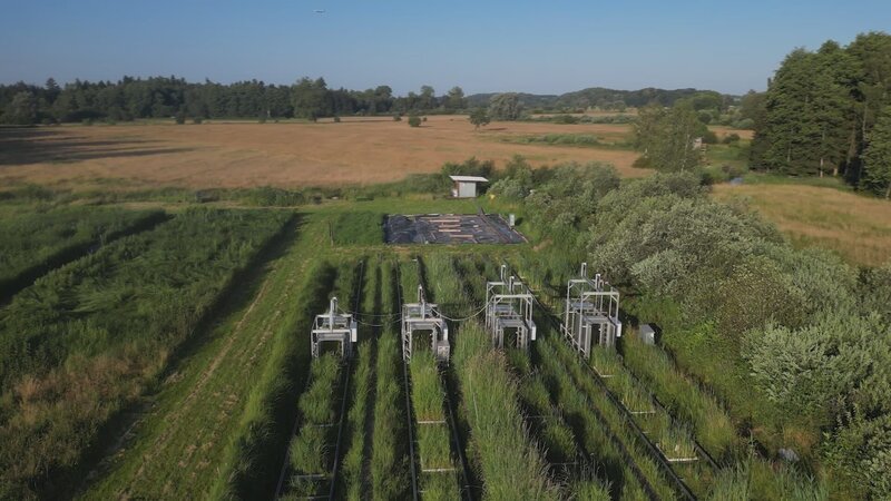 Moore absorbieren doppelt so viel CO2 wie alle Wälder der Erde zusammen. Paludikulturen bieten die Chance, Landwirtschaft auf wiedervernässten Moorböden zu betreiben. Die Hochschule Weihenstephan-Triesdorf betreibt eine weltweit einzigartige Messanlage, die den Emissionsaustausch von Paludikulturen erfassen kann. So können die Forschenden ihre Klimabilanz errechnen. – Bild: ZDF und Tino Böcher./​Tino Böcher