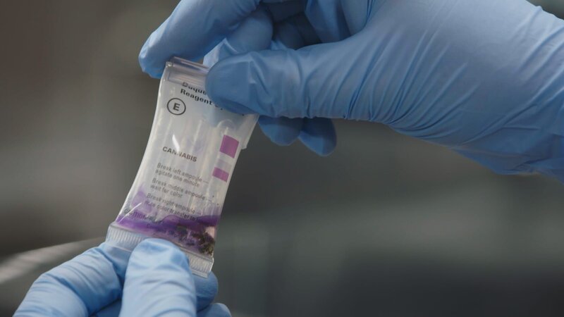 Ein CBP-Beamter verwendet ein Betäubungsmittel-Testkit, um eine weiße Substanz zu identifizieren, die im Fahrzeug eines Verdächtigen gefunden wurde. – Bild: NGC NETWORK US, LLC
