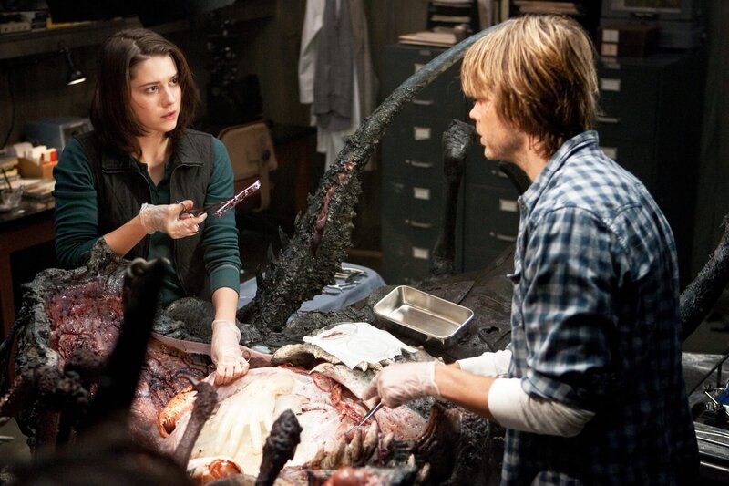 The Thing – Bild: ZDF und Kerry Hayes.