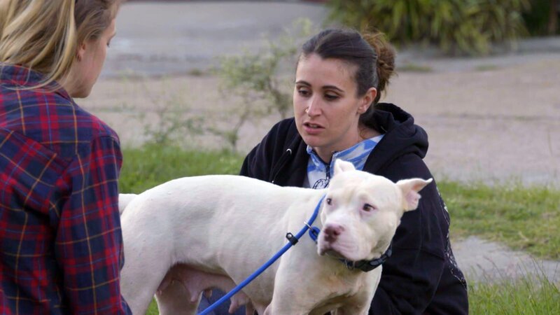 (JAZZMINE DROP OFF) Dog with Lizzy. – Bild: Animal Planet /​ Discovery Communications