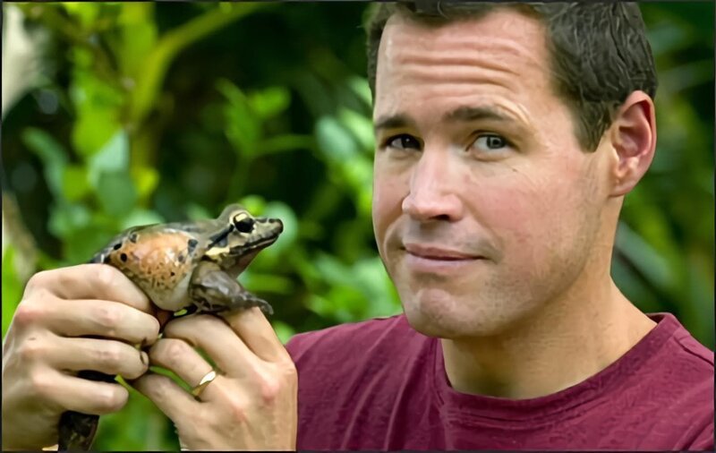 Bild: Animal Planet