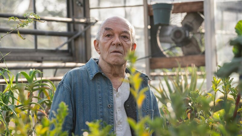 Jakov Mitko (Mark Margolis) – Bild: AXN Black