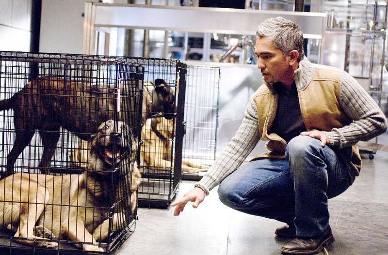 Der „Hundeflüsterer“ Cesar Millan (spielt sich selbst) will den Ermittlern helfen, den Mordfall Elliott aufzuklären. – Bild: RTL /​ FOX