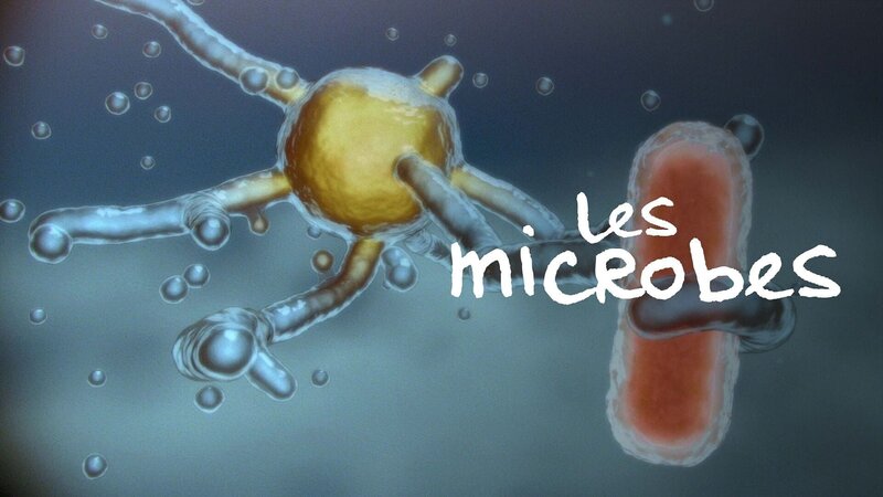 Mikroben - Die wahren Herrscher der Erde – Bild: Arte