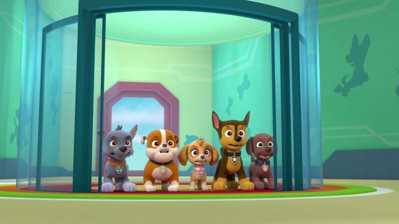 L-R: Rocky, Rubble, Skye, Chase, Zuma – Bild: ViacomCBS