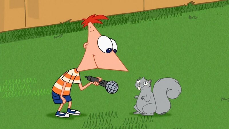 Phineas – Bild: Disney XD
