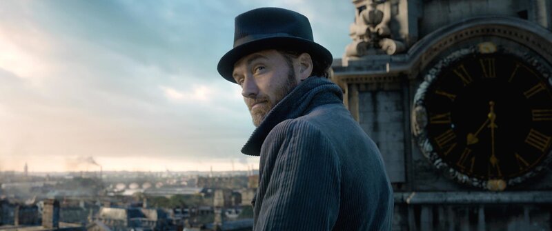 Albus Dumbledore (Jude Law). – Bild: PLURIMEDIA (Warner Bros. France /​ Warner Bros Entertainment Inc. /​ Heyday Films)