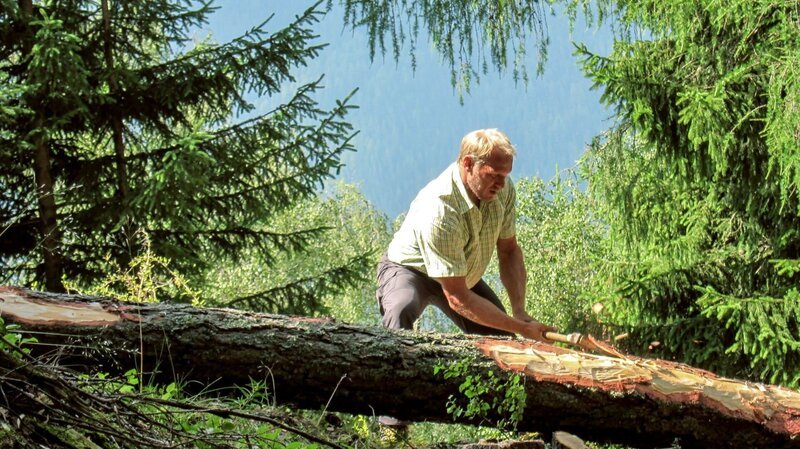 Hermann Maier. – Bild: ORF