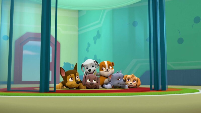 L-R: Chase, Marshall, Zuma, Rubble, Rocky, Skye – Bild: Paramount