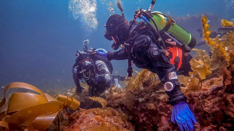 Ghost Ships – Tony Sampson auf Tauchgang Staffel1 EP Die Atlantic – Bild: THE HISTORY CHANNEL