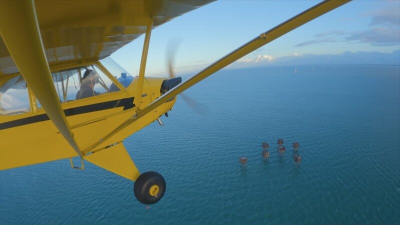 Arthur Williams fliegt in Richtung Redsands Forts, Kent, Großbritannien. (National Geographic) – Bild: National Geographic /​ Disney