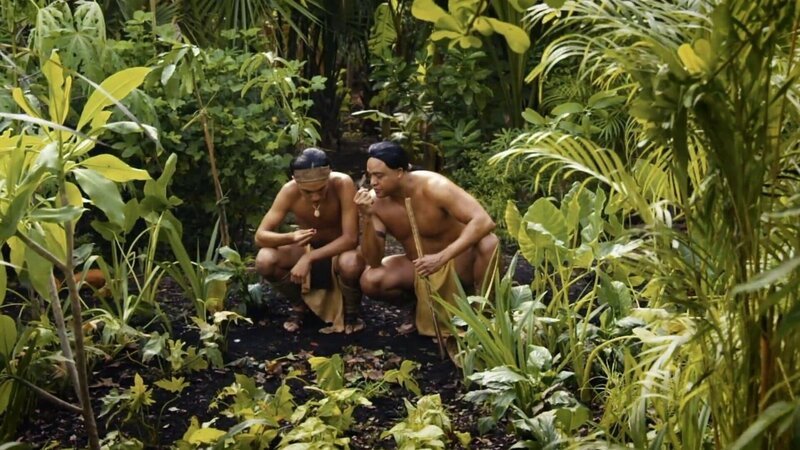 Im Amazonasbecken erfinden Ureinwohner die sogenannte Terra preta. Sie entsteht aus Holz- und Pflanzenkohle, Dung und Kompost und ist durchsetzt mit Tonscherben, Knochen und Fischgräten – eine Mischung, mit der besonders fruchtbarer Boden erzeugt werden kann. – Bild: ZDF und 1491 Productions Inc../​1491 Productions Inc.