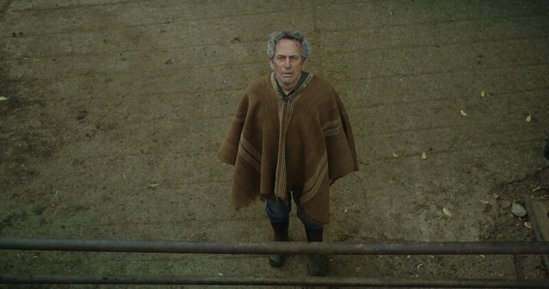 Die Kuh, die die Zukunft besang – Bild: ZDF und Inti Briones./​Inti Briones