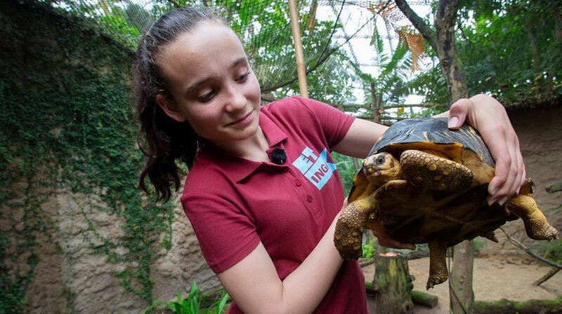 Inga beim Vermessen der Schildkröten – Bild: MDR/​Cine Impuls Leipzig GmbH