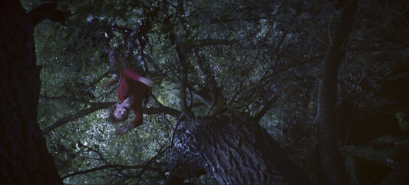 Poltergeist – Bild: 2015 Twentieth Century Fox /​ MKNS