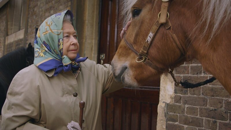 Her Majesty, Queen Elizabeth II, feeds one of her horses at the Windsor Mews. – Bild: Oxford Film and Television Ltd