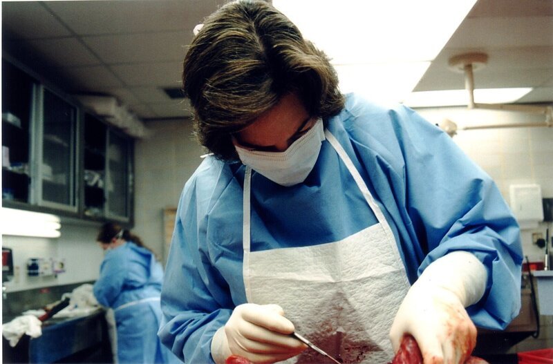 In „Dr. G – Beruf: Gerichtsmedizinerin“ gibt eine der führenden Pathologinnen Amerikas, Dr. Jan Garavaglia, einen Einblick in ihre Arbeit und erklärt, wie sie zusammen mit ihrem Team bei der Lösung komplizierter Mordfälle hilft und medizinische Absonderlichkeiten aufklärt. – Bild: MMXI ATLAS MEDIA CORPORATION Lizenzbild frei